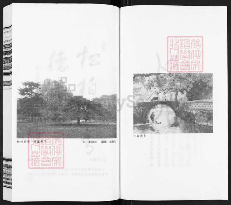 江苏省常州市武进县俞氏敦睦堂族谱-俞氏宗谱.pdf电子版预览图2