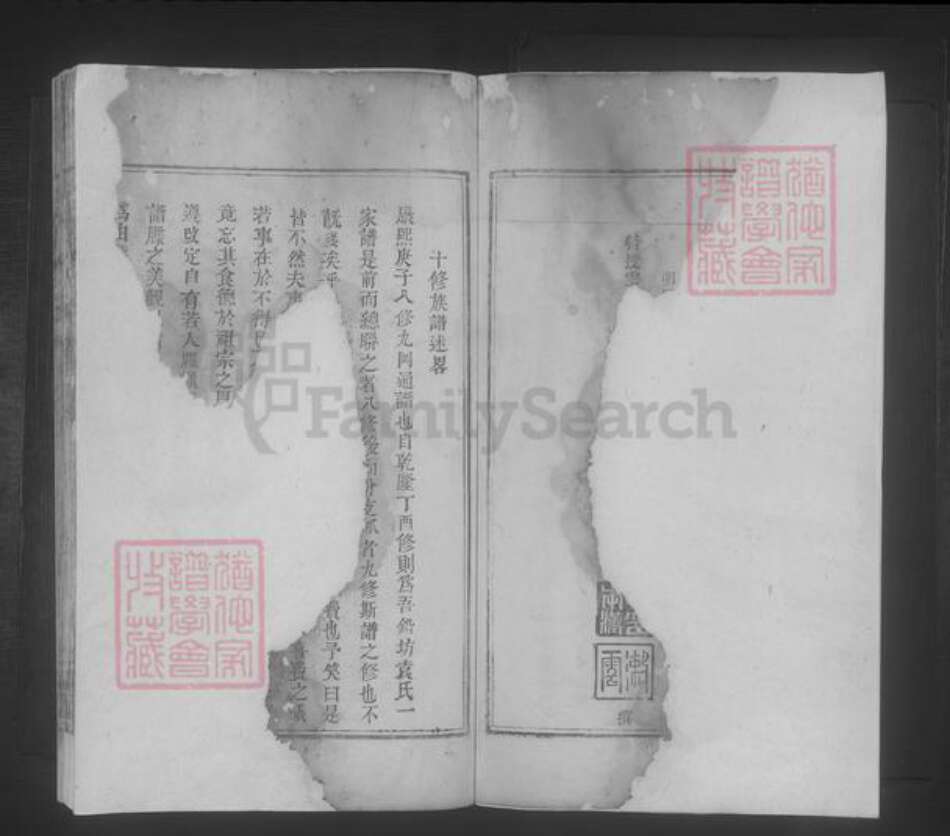 江西省吉安市袁氏族谱-铅坊袁氏十修族谱 [不分卷].pdf电子版预览图2