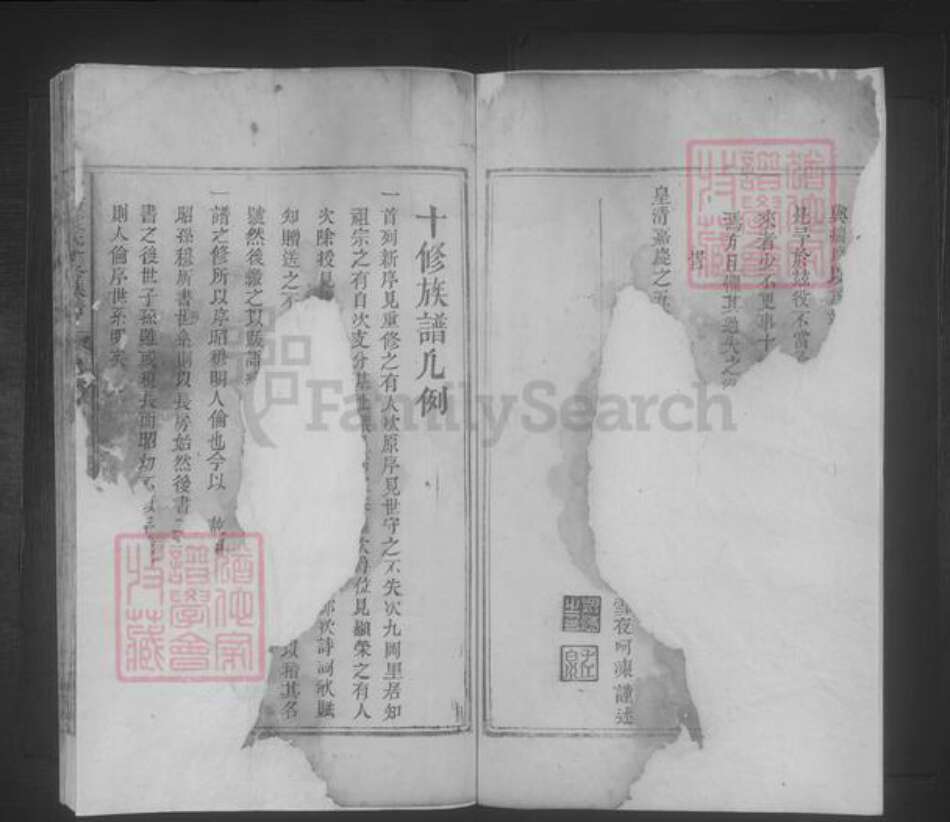 江西省吉安市袁氏族谱-铅坊袁氏十修族谱 [不分卷].pdf电子版预览图3