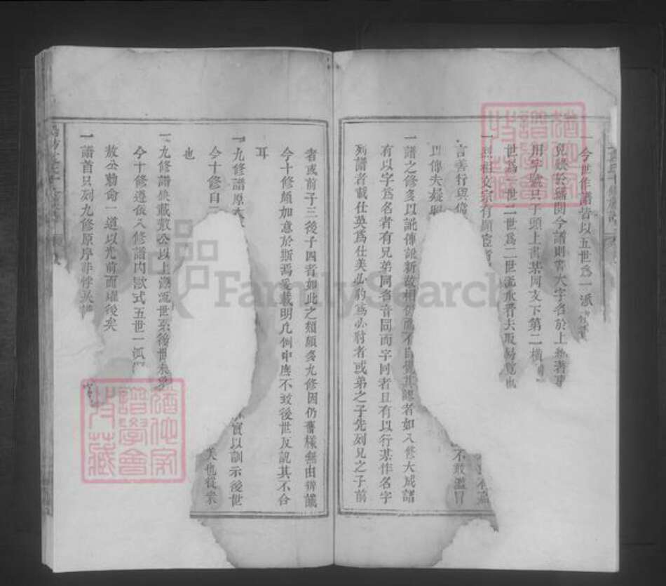 江西省吉安市袁氏族谱-铅坊袁氏十修族谱 [不分卷].pdf电子版预览图4