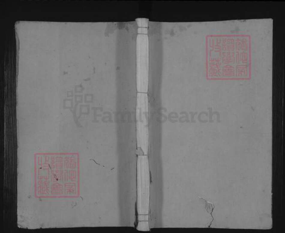 湖南省长沙市浏阳市袁氏族谱-新溪袁氏四修支谱 [4卷,首2卷].pdf电子版缩略图