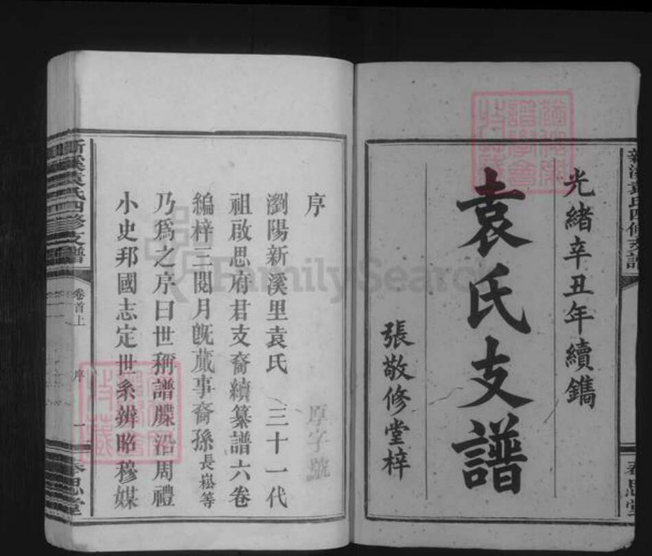 湖南省长沙市浏阳市袁氏族谱-新溪袁氏四修支谱 [4卷,首2卷].pdf电子版预览图1