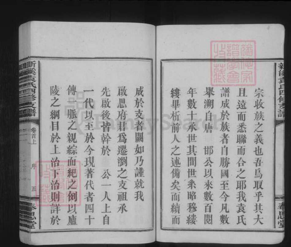 湖南省长沙市浏阳市袁氏族谱-新溪袁氏四修支谱 [4卷,首2卷].pdf电子版预览图5