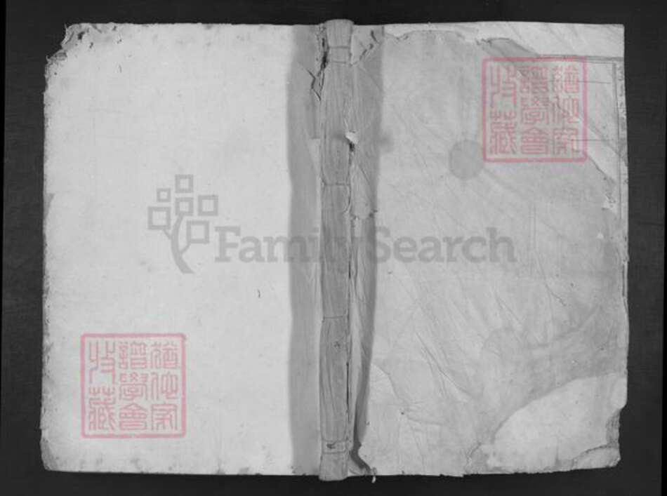 湖南省岳阳市湘阴县袁氏族谱-袁氏宗谱.pdf电子版缩略图