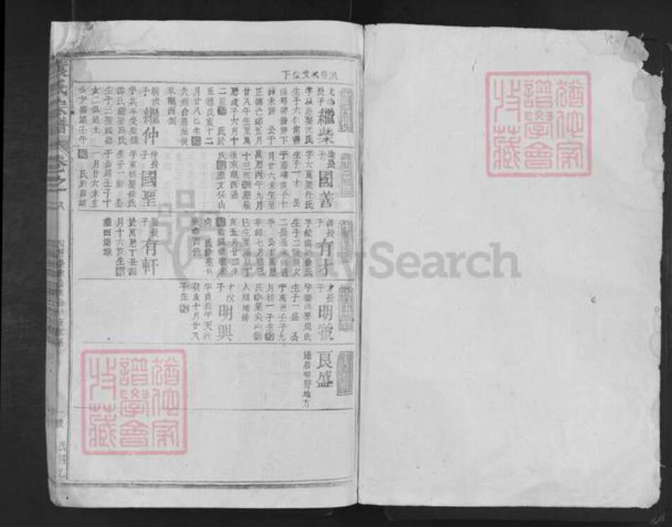 湖南省岳阳市湘阴县袁氏族谱-袁氏宗谱.pdf电子版预览图1