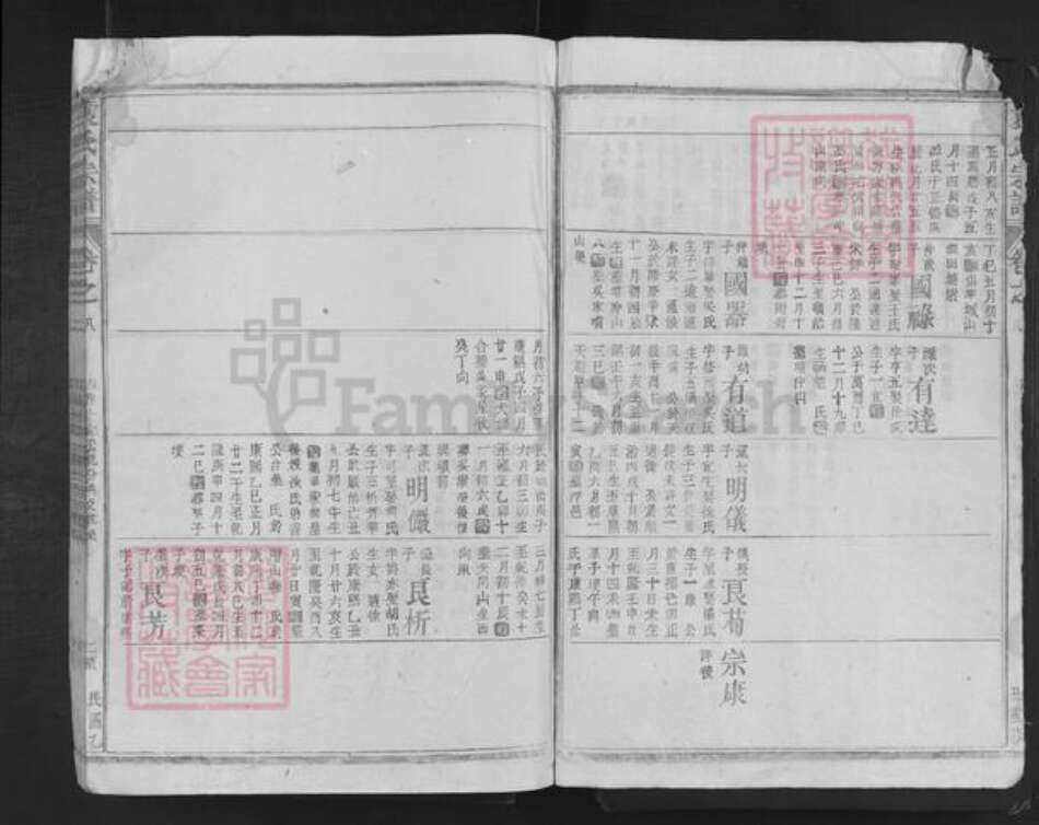 湖南省岳阳市湘阴县袁氏族谱-袁氏宗谱.pdf电子版预览图2