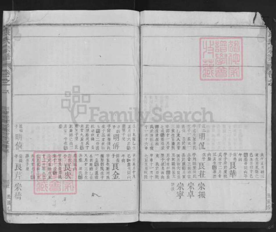 湖南省岳阳市湘阴县袁氏族谱-袁氏宗谱.pdf电子版预览图3