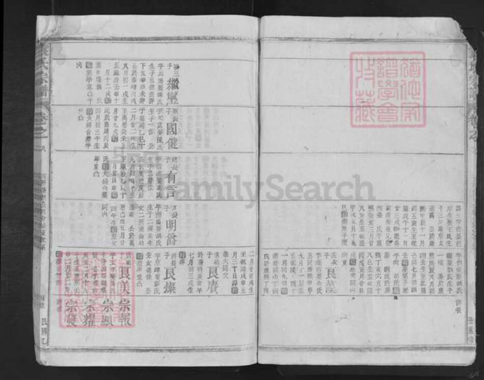 湖南省岳阳市湘阴县袁氏族谱-袁氏宗谱.pdf电子版预览图4