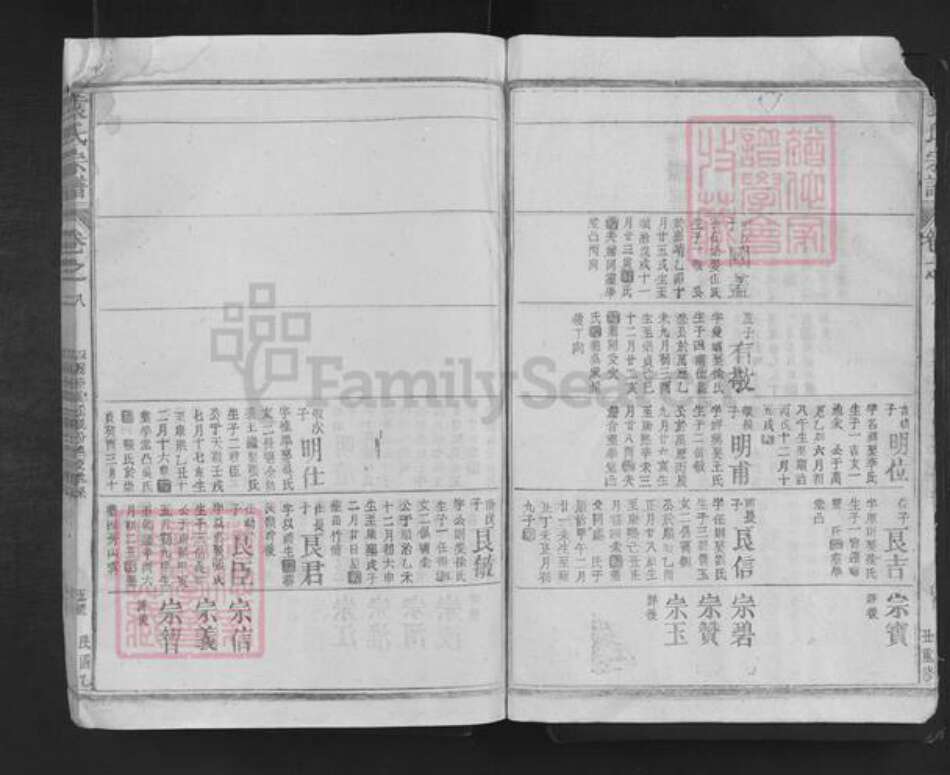 湖南省岳阳市湘阴县袁氏族谱-袁氏宗谱.pdf电子版预览图5