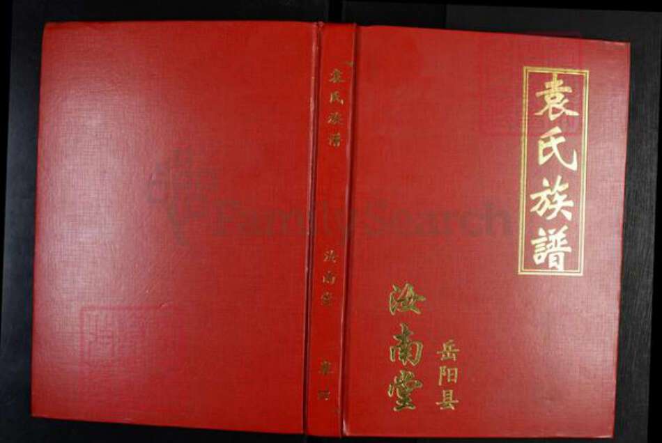 湖南省岳阳市岳阳县袁氏汝南堂族谱-袁氏族谱.pdf电子版缩略图