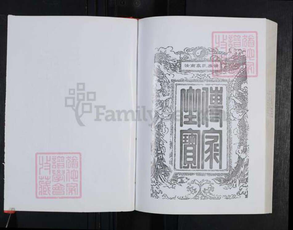 湖南省岳阳市岳阳县袁氏汝南堂族谱-袁氏族谱.pdf电子版预览图2