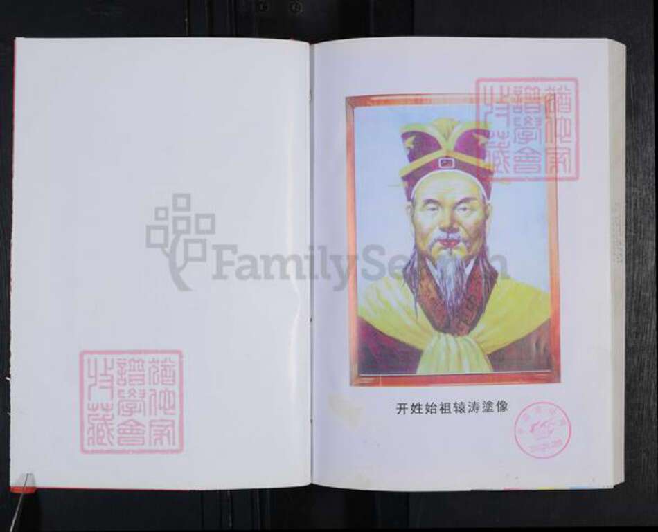 湖南省岳阳市岳阳县袁氏汝南堂族谱-袁氏族谱.pdf电子版预览图3