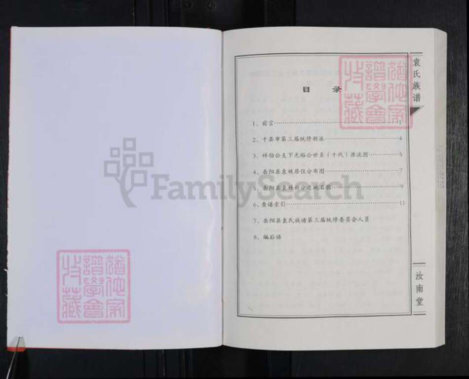 湖南省岳阳市岳阳县袁氏汝南堂族谱-袁氏族谱.pdf电子版预览图4