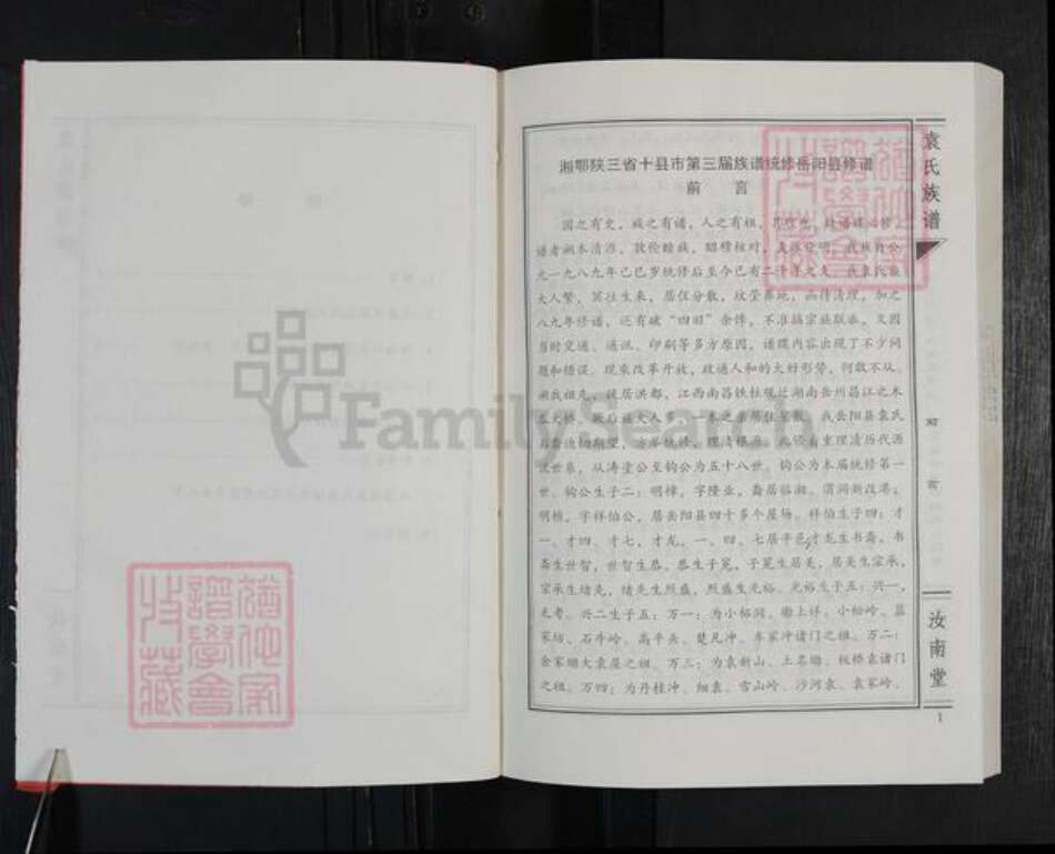 湖南省岳阳市岳阳县袁氏汝南堂族谱-袁氏族谱.pdf电子版预览图5