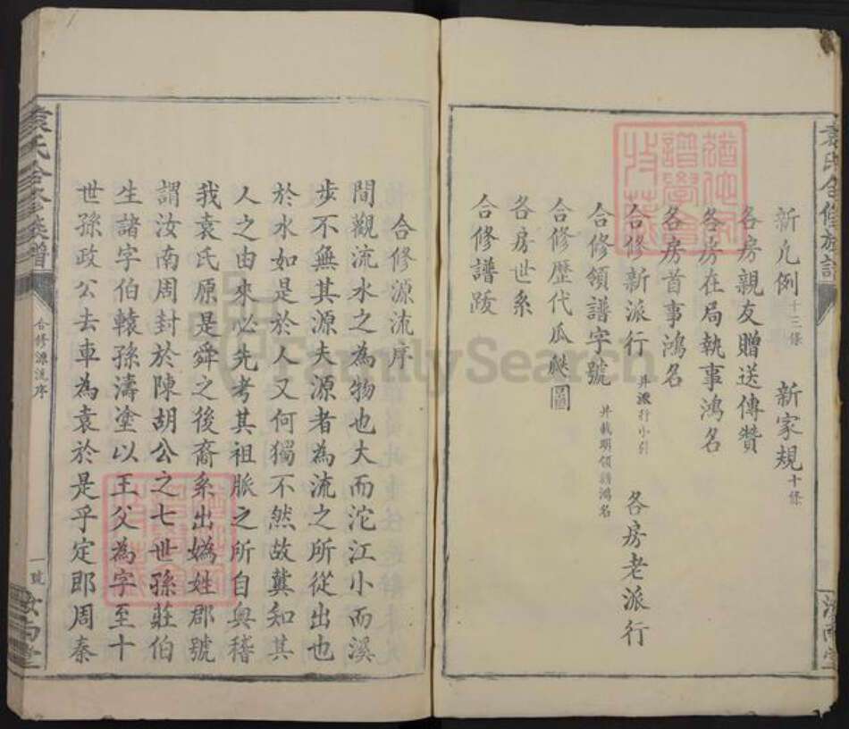 江西省赣州市信丰县安西镇袁氏汝南堂族谱-袁氏合修族谱.pdf电子版预览图5