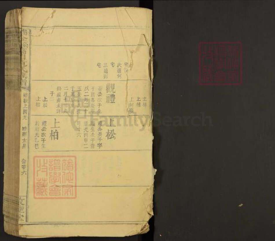 江西省赣州市瑞金市万田乡袁氏敦睦堂族谱-瑞金县万田袁氏族谱.pdf电子版预览图1