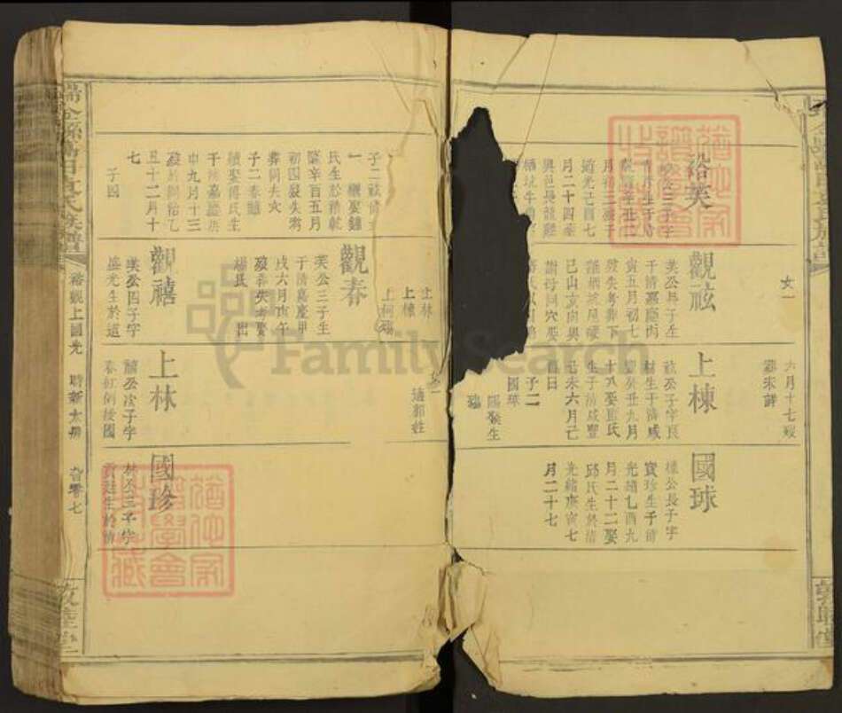 江西省赣州市瑞金市万田乡袁氏敦睦堂族谱-瑞金县万田袁氏族谱.pdf电子版预览图2