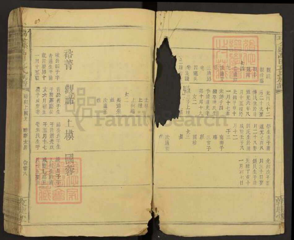 江西省赣州市瑞金市万田乡袁氏敦睦堂族谱-瑞金县万田袁氏族谱.pdf电子版预览图3