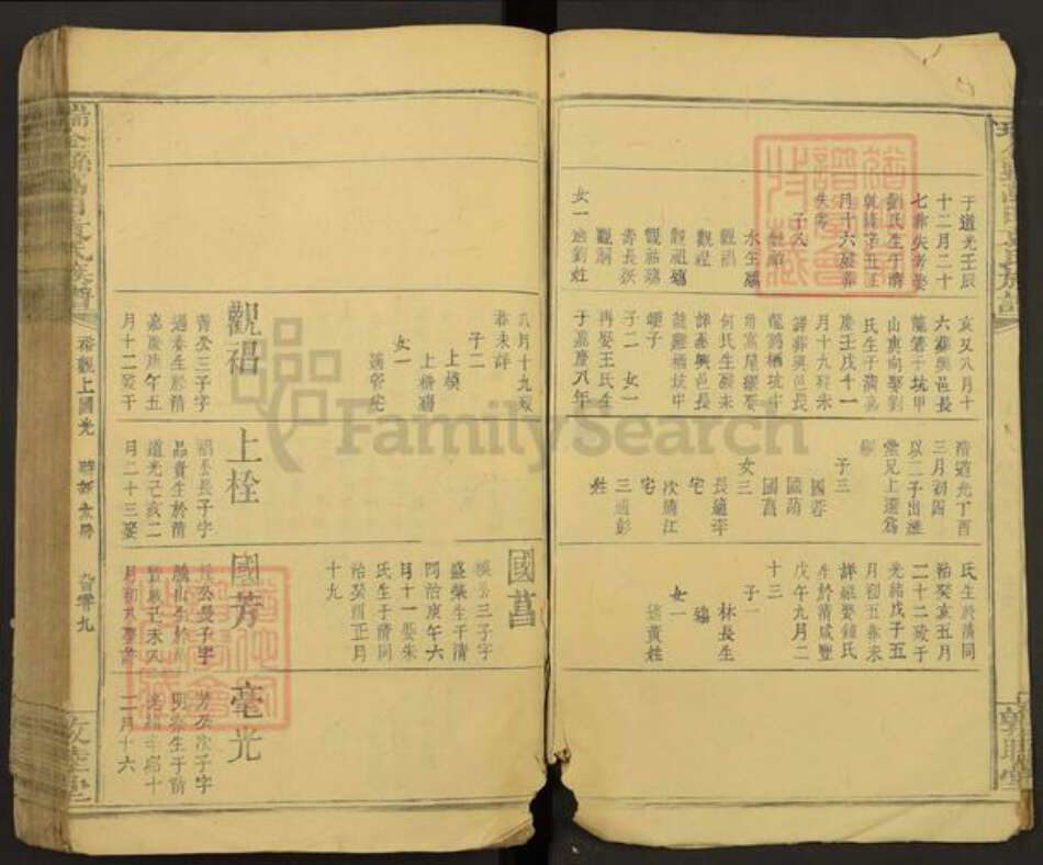 江西省赣州市瑞金市万田乡袁氏敦睦堂族谱-瑞金县万田袁氏族谱.pdf电子版预览图4