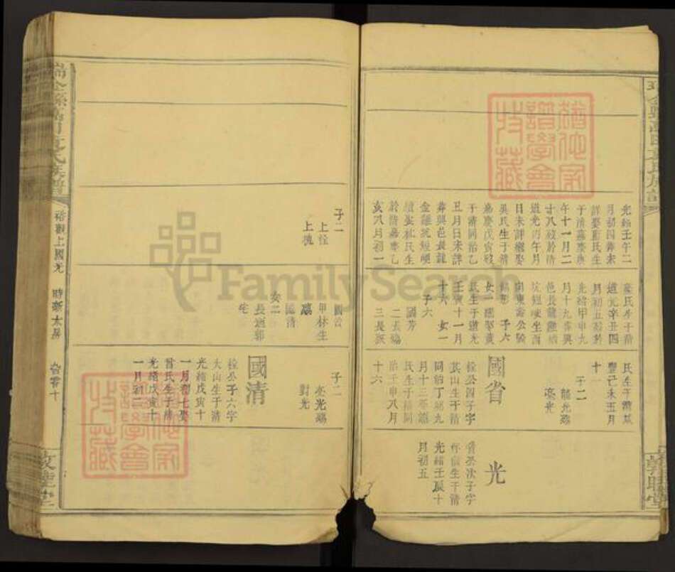 江西省赣州市瑞金市万田乡袁氏敦睦堂族谱-瑞金县万田袁氏族谱.pdf电子版预览图5