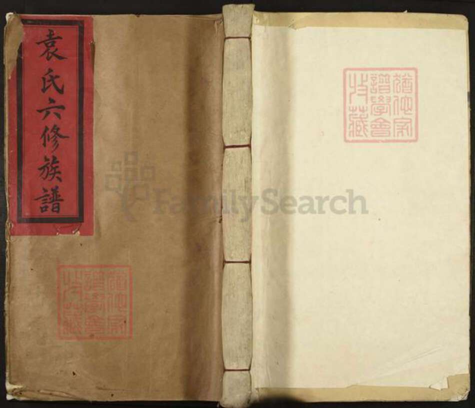 江西省赣州市信丰县袁氏汝南堂族谱-袁氏六修族谱.pdf电子版缩略图