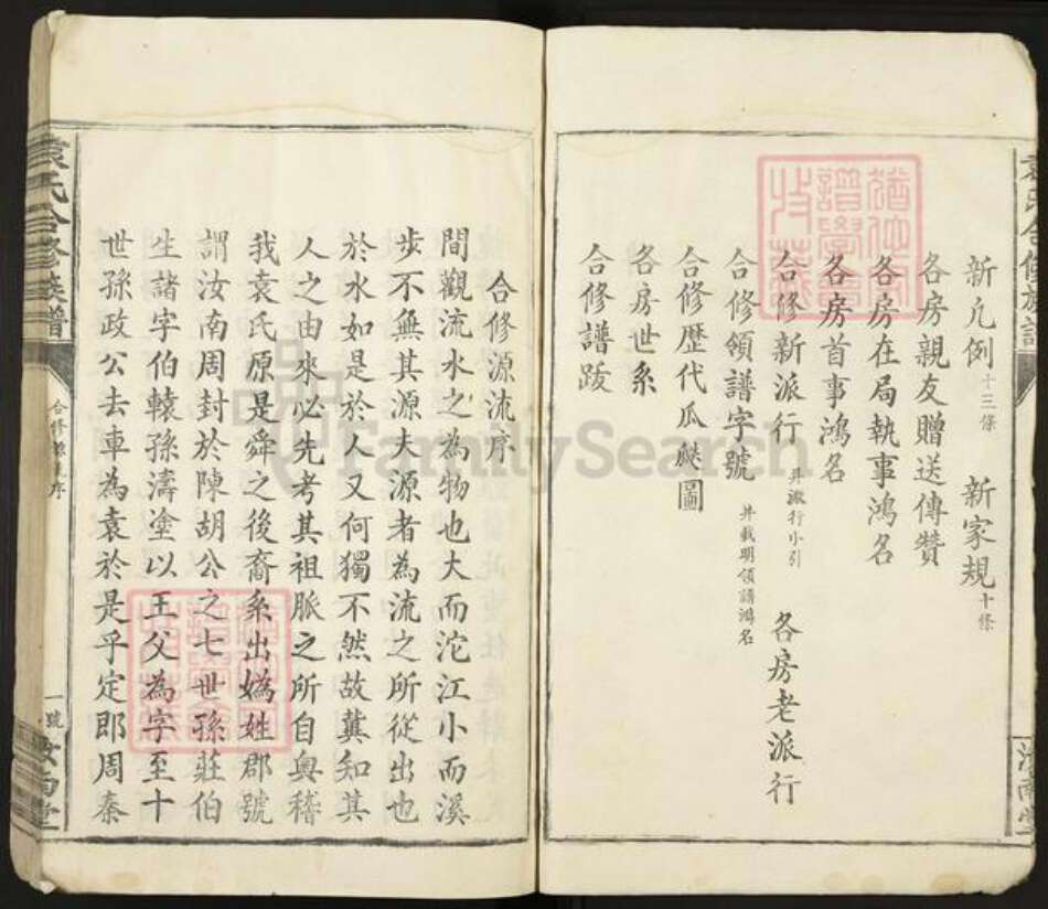 江西省赣州市信丰县袁氏汝南堂族谱-袁氏六修族谱.pdf电子版预览图5