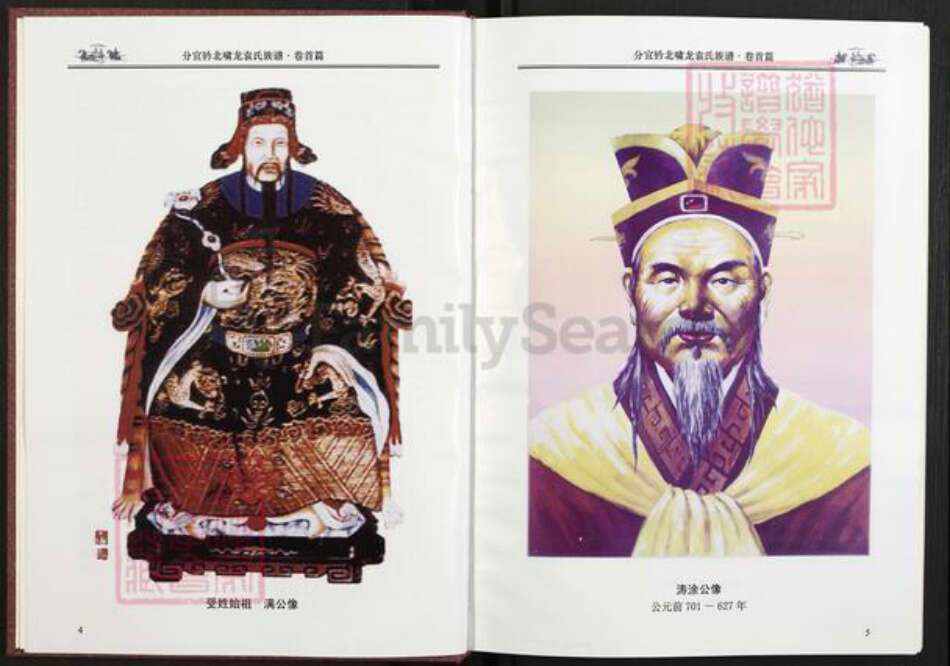 江西省新余市分宜县杨桥镇袁氏敦睦堂族谱-江西分宜啸龙袁氏族谱.pdf电子版预览图5