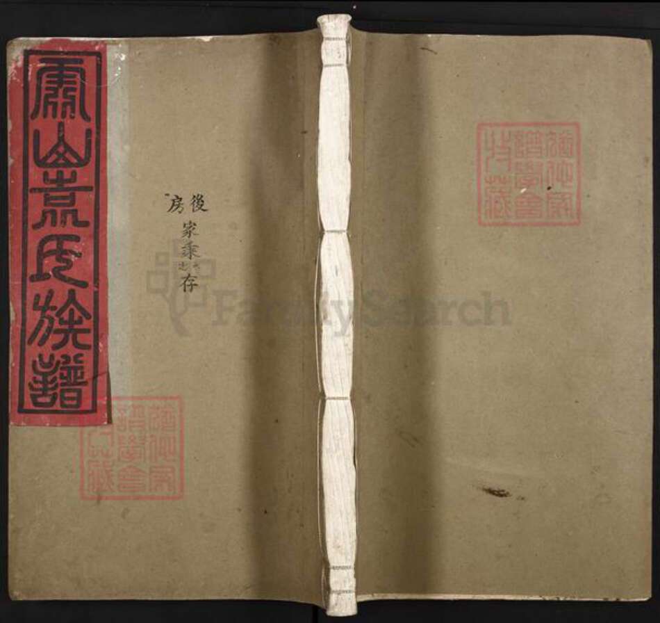 江西省吉安市吉州区袁氏族谱-霞山袁氏族谱.pdf电子版缩略图