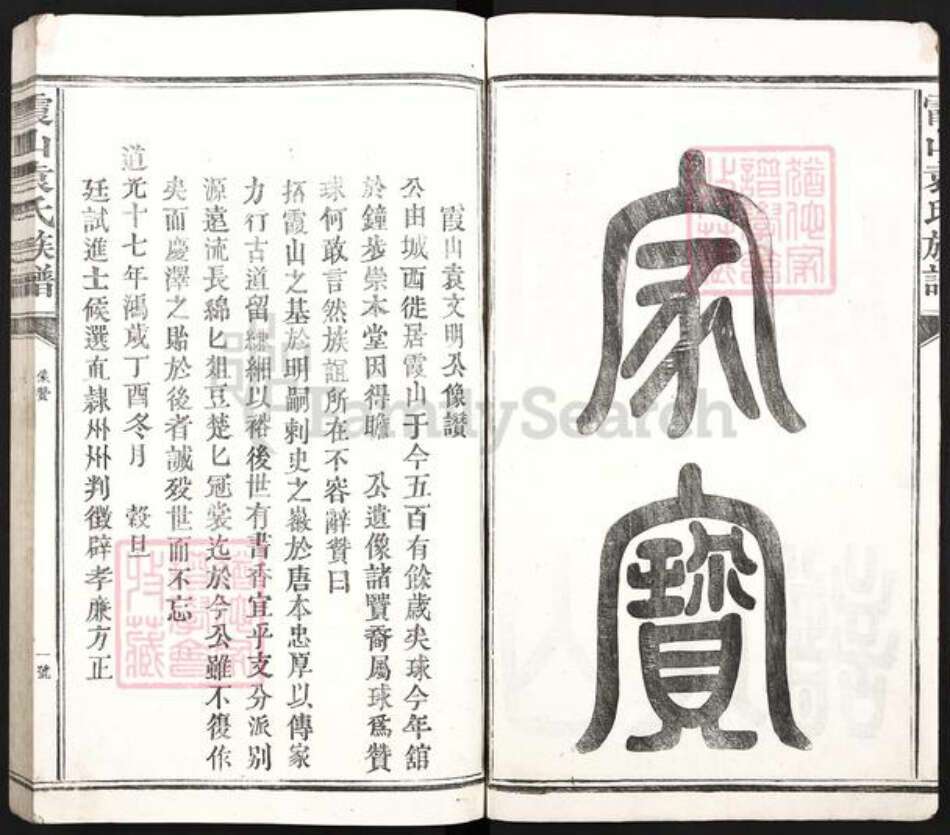 江西省吉安市吉州区袁氏族谱-霞山袁氏族谱.pdf电子版预览图2