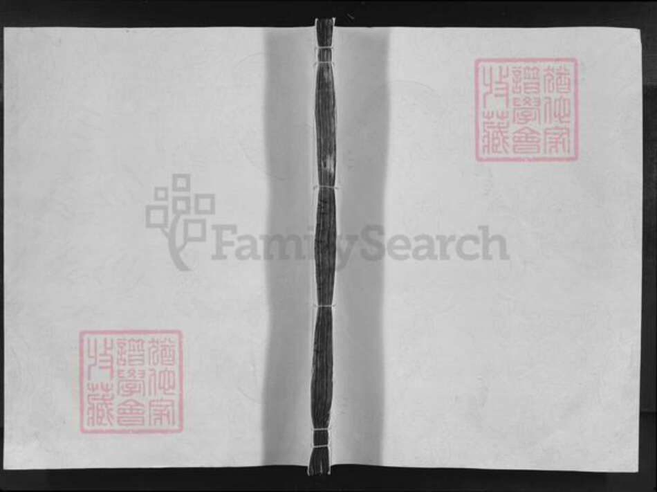 江西省抚州市乐安县湖坪乡袁氏族谱-九冈袁氏八修大成族谱.pdf电子版缩略图