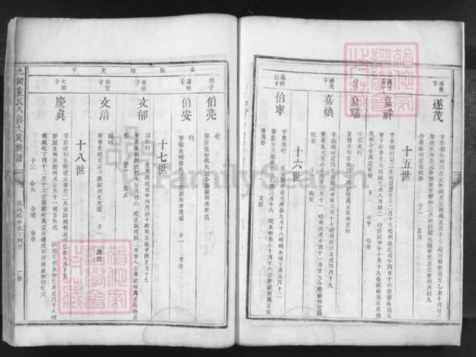 江西省抚州市乐安县湖坪乡袁氏族谱-九冈袁氏八修大成族谱.pdf电子版预览图4