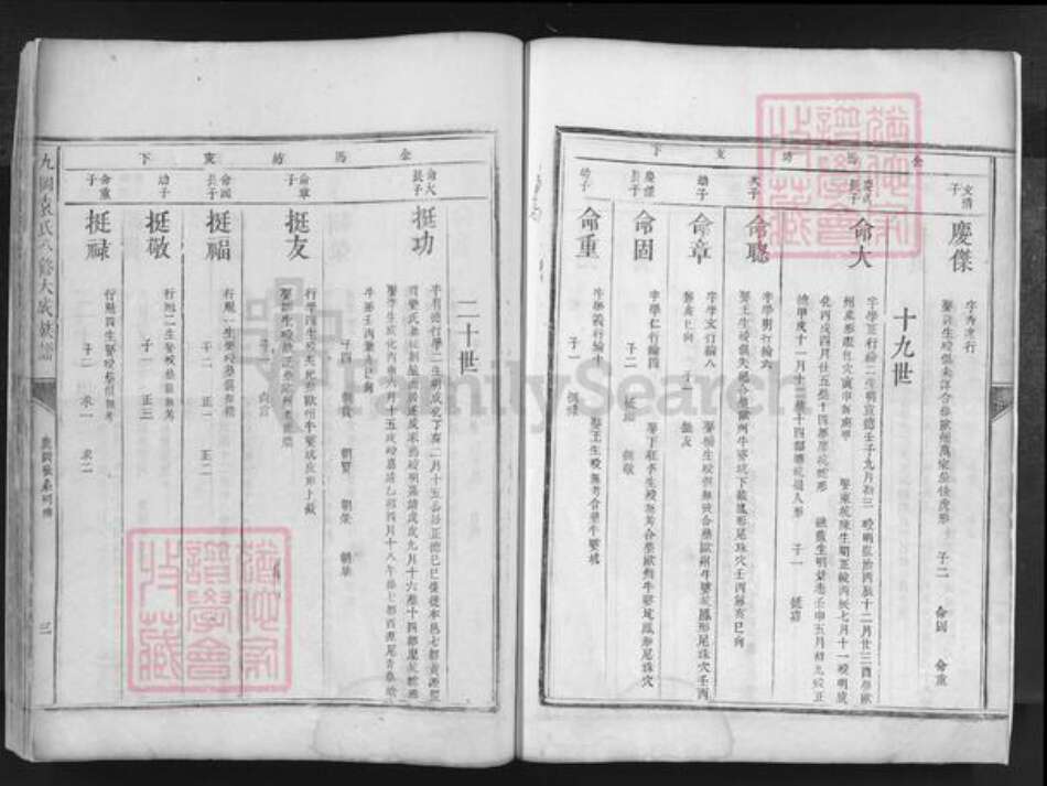 江西省抚州市乐安县湖坪乡袁氏族谱-九冈袁氏八修大成族谱.pdf电子版预览图5