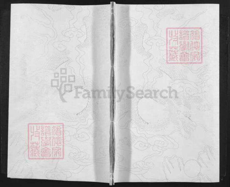 江西省吉安市泰和市袁氏族谱-泰和城西后街袁氏族谱.pdf电子版缩略图