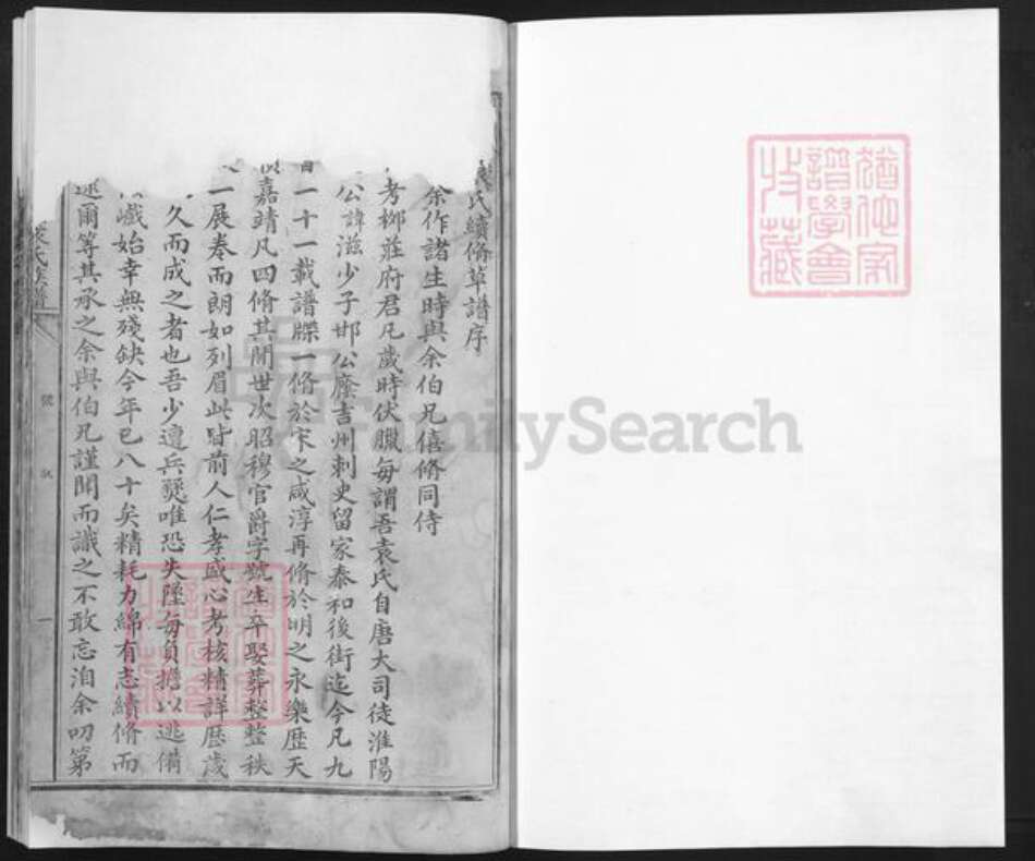 江西省吉安市泰和市袁氏族谱-泰和城西后街袁氏族谱.pdf电子版预览图1