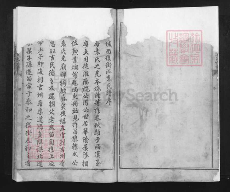 江西省吉安市泰和市袁氏族谱-泰和城西后街袁氏族谱.pdf电子版预览图3