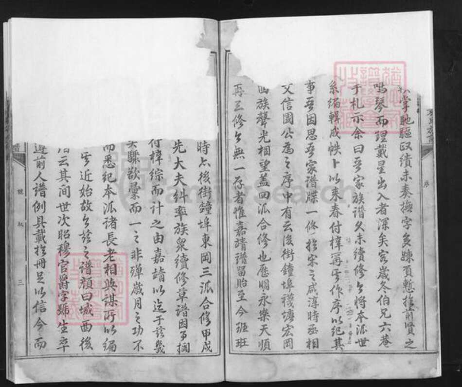 江西省吉安市泰和市袁氏族谱-泰和城西后街袁氏族谱.pdf电子版预览图5