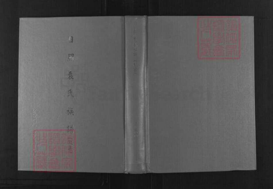 山东省日照市东港区袁氏族谱-日照袁氏族谱(叙安).pdf电子版缩略图