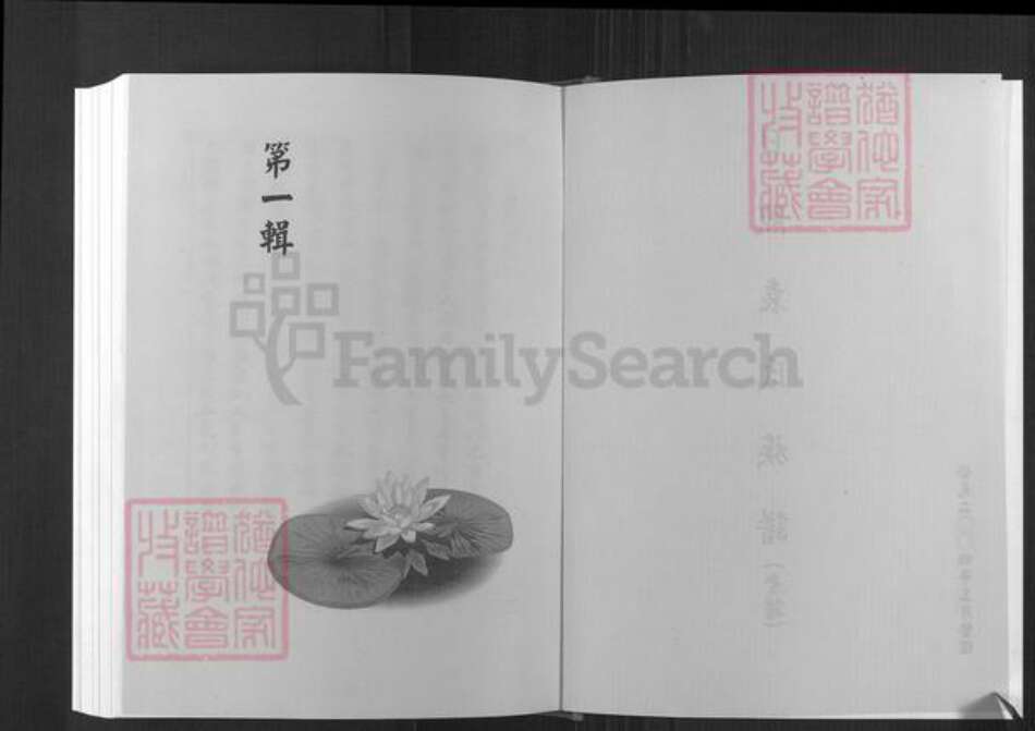 山东省日照市东港区袁氏族谱-日照袁氏族谱(叙安).pdf电子版预览图3