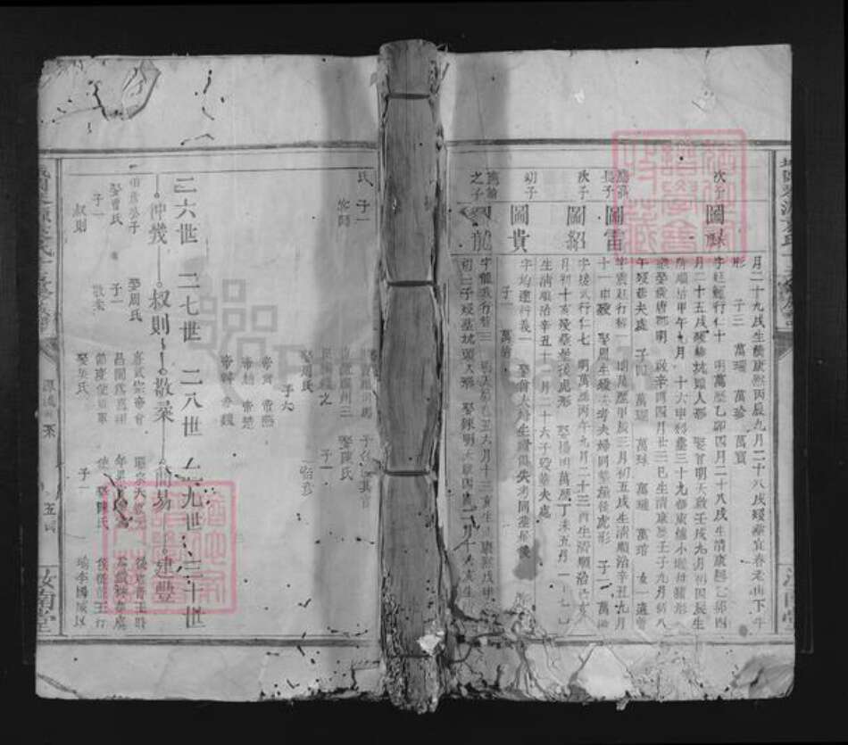 江西省赣州市兴国县城岗乡袁氏汝南堂族谱-城冈琴源袁氏十五修族谱.pdf电子版缩略图