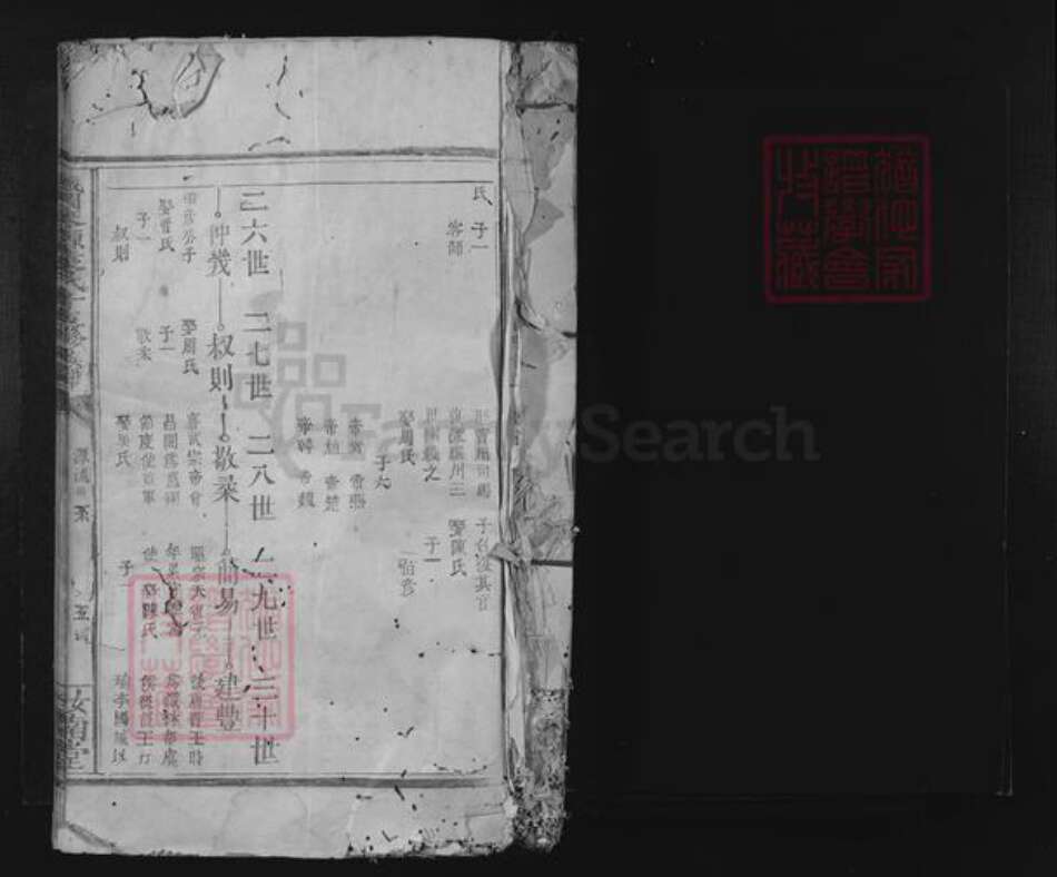 江西省赣州市兴国县城岗乡袁氏汝南堂族谱-城冈琴源袁氏十五修族谱.pdf电子版预览图1