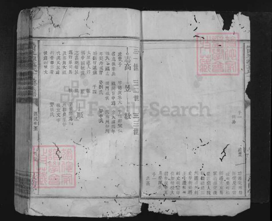 江西省赣州市兴国县城岗乡袁氏汝南堂族谱-城冈琴源袁氏十五修族谱.pdf电子版预览图2