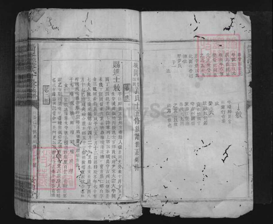 江西省赣州市兴国县城岗乡袁氏汝南堂族谱-城冈琴源袁氏十五修族谱.pdf电子版预览图3