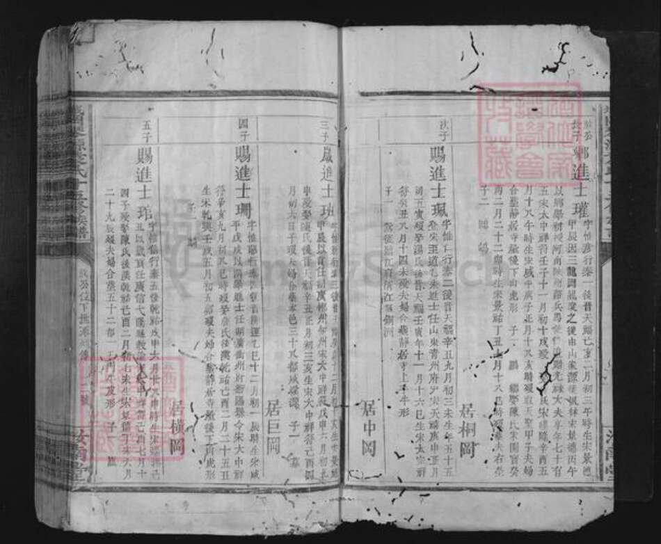 江西省赣州市兴国县城岗乡袁氏汝南堂族谱-城冈琴源袁氏十五修族谱.pdf电子版预览图4