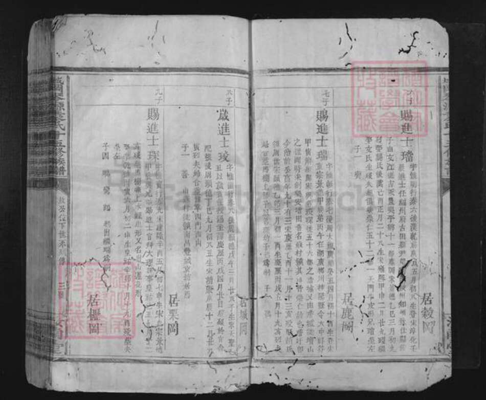 江西省赣州市兴国县城岗乡袁氏汝南堂族谱-城冈琴源袁氏十五修族谱.pdf电子版预览图5