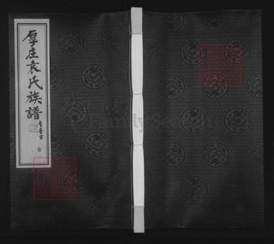 江苏省常州市金坛区儒林镇袁氏承启堂族谱-厚庄袁氏族谱.pdf电子版缩略图