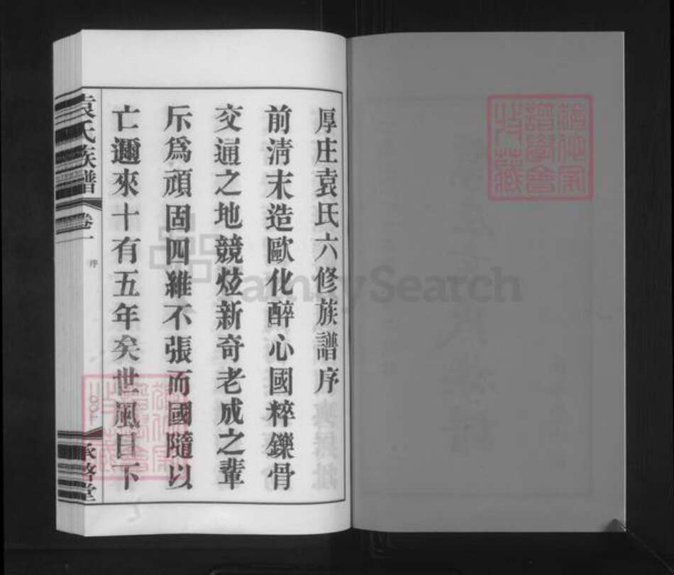 江苏省常州市金坛区儒林镇袁氏承启堂族谱-厚庄袁氏族谱.pdf电子版预览图2