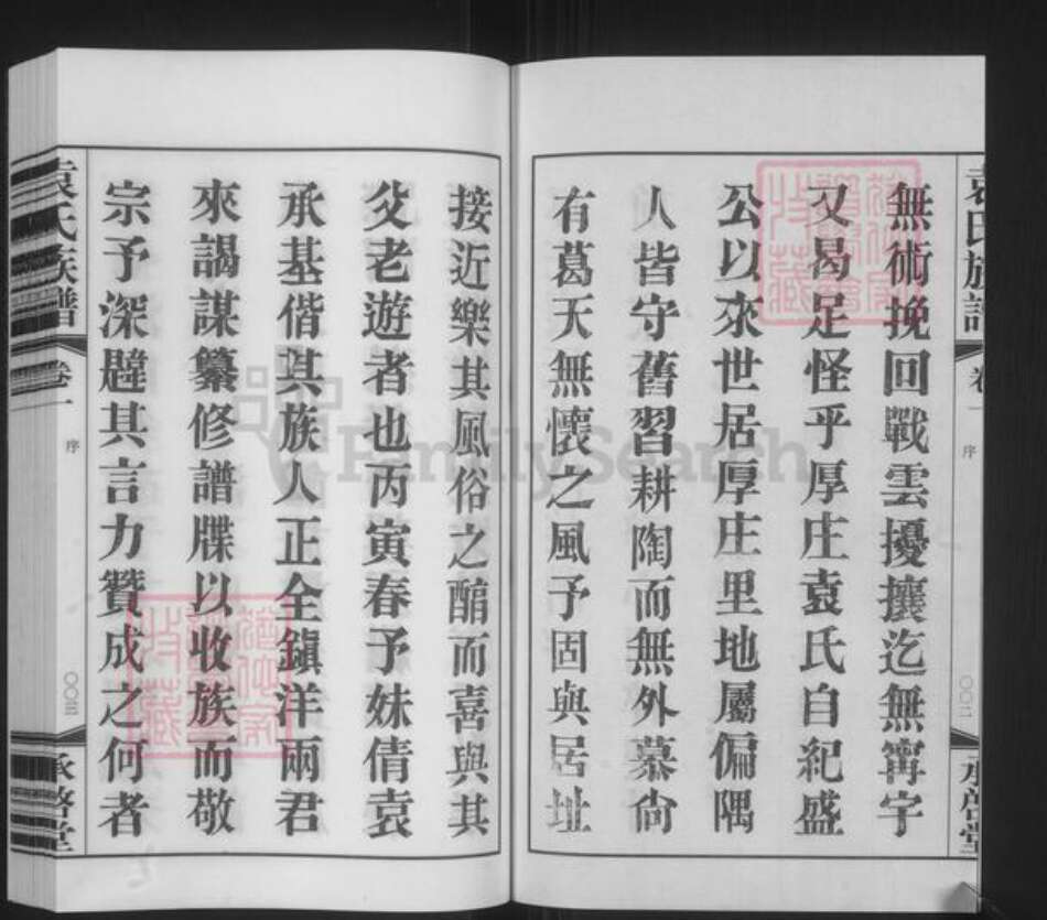 江苏省常州市金坛区儒林镇袁氏承启堂族谱-厚庄袁氏族谱.pdf电子版预览图3