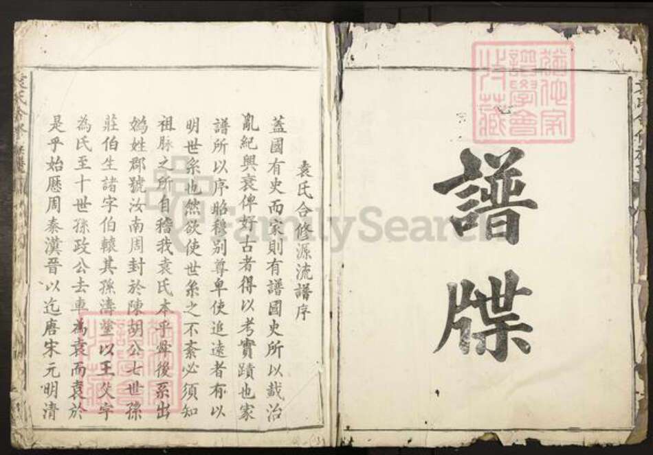 江西省袁氏元德堂族谱-袁氏合修族谱.pdf电子版预览图2