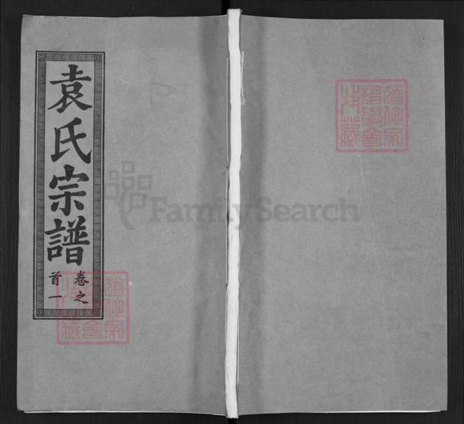 湖北省武汉市洪山区袁氏卧雪堂族谱-袁氏宗谱.pdf电子版缩略图