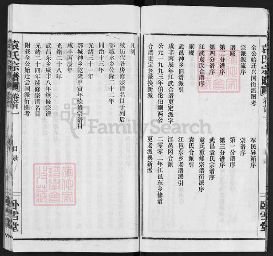 湖北省武汉市洪山区袁氏卧雪堂族谱-袁氏宗谱.pdf电子版预览图5